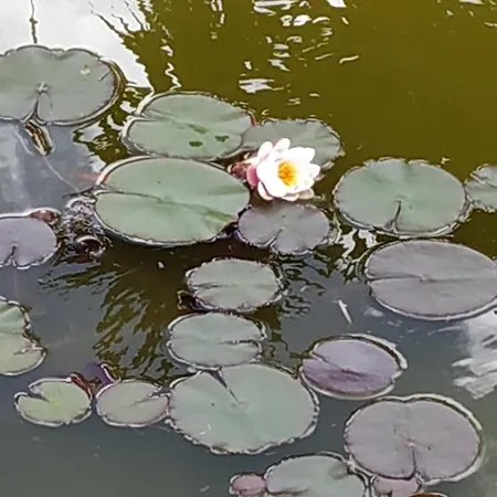 Casal Do Moinho Prázdninový dům